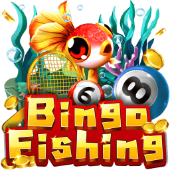 Câu Cá Bingo llwin